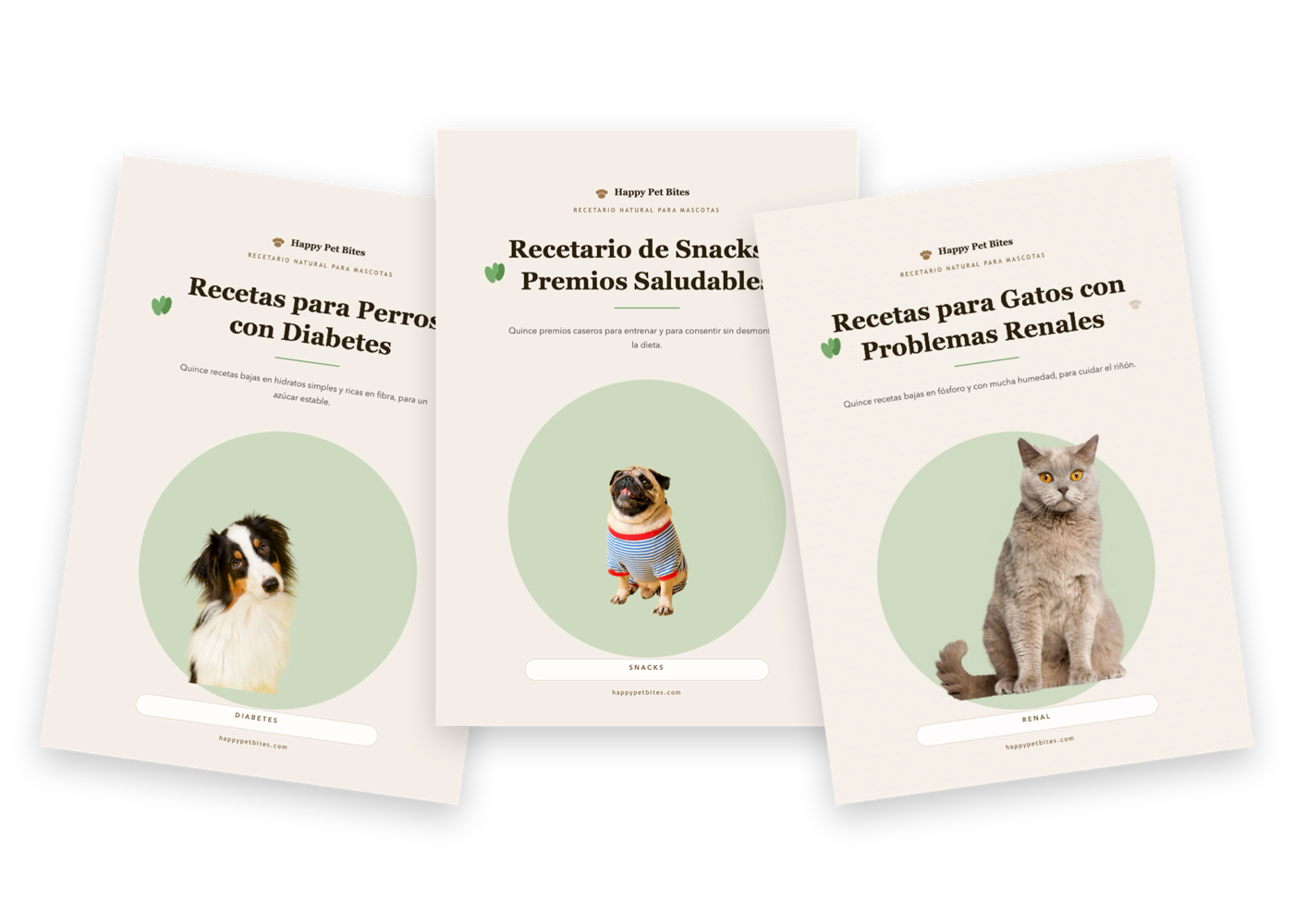 Los recetarios extra