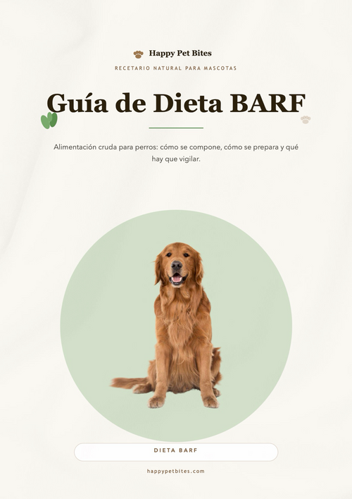 Las 4 Guías Esenciales