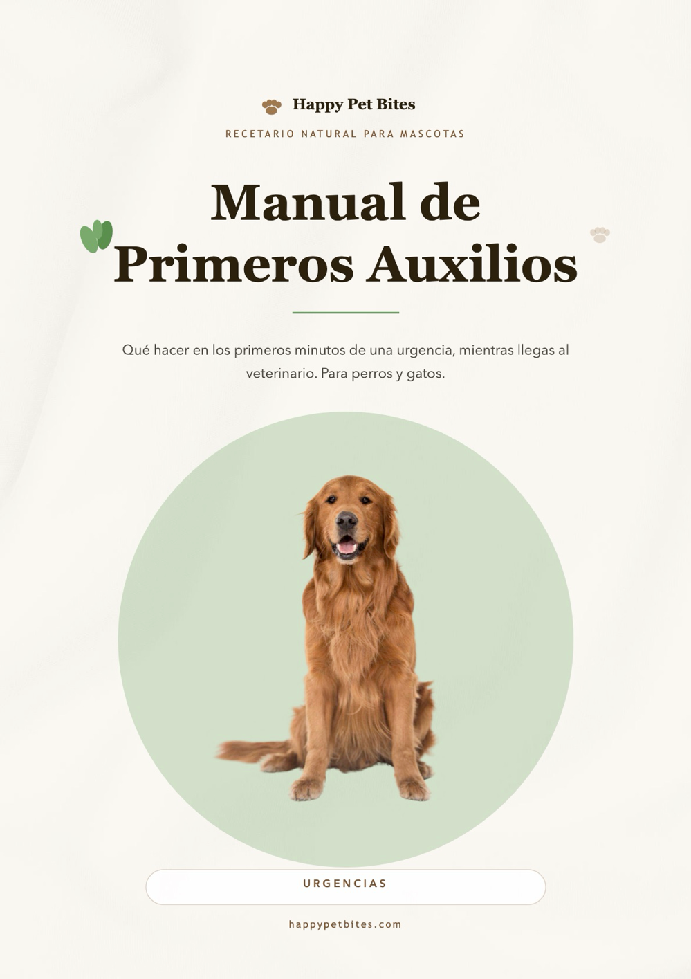 Las 4 Guías Esenciales