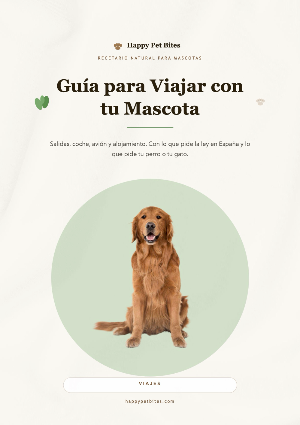 Las 4 Guías Esenciales