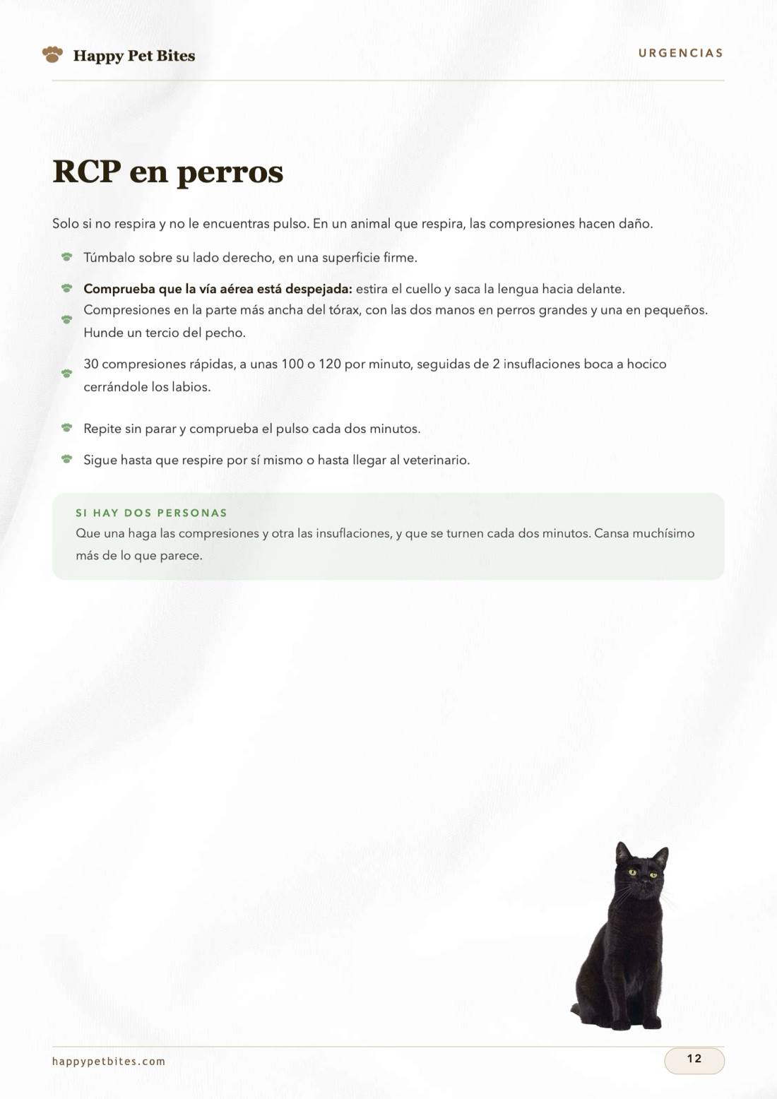 Las 4 Guías Esenciales