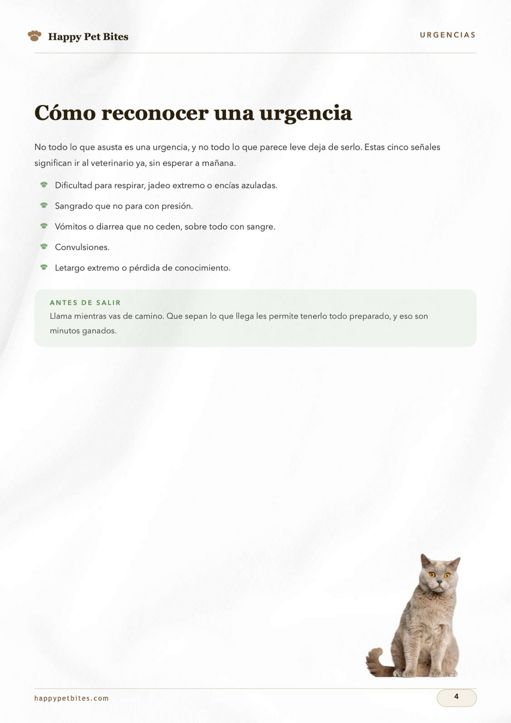 Las 4 Guías Esenciales