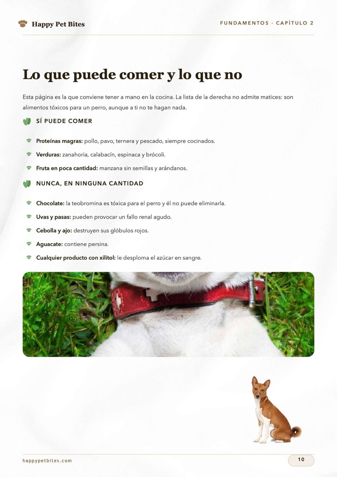 Lo que puede comer y lo que no