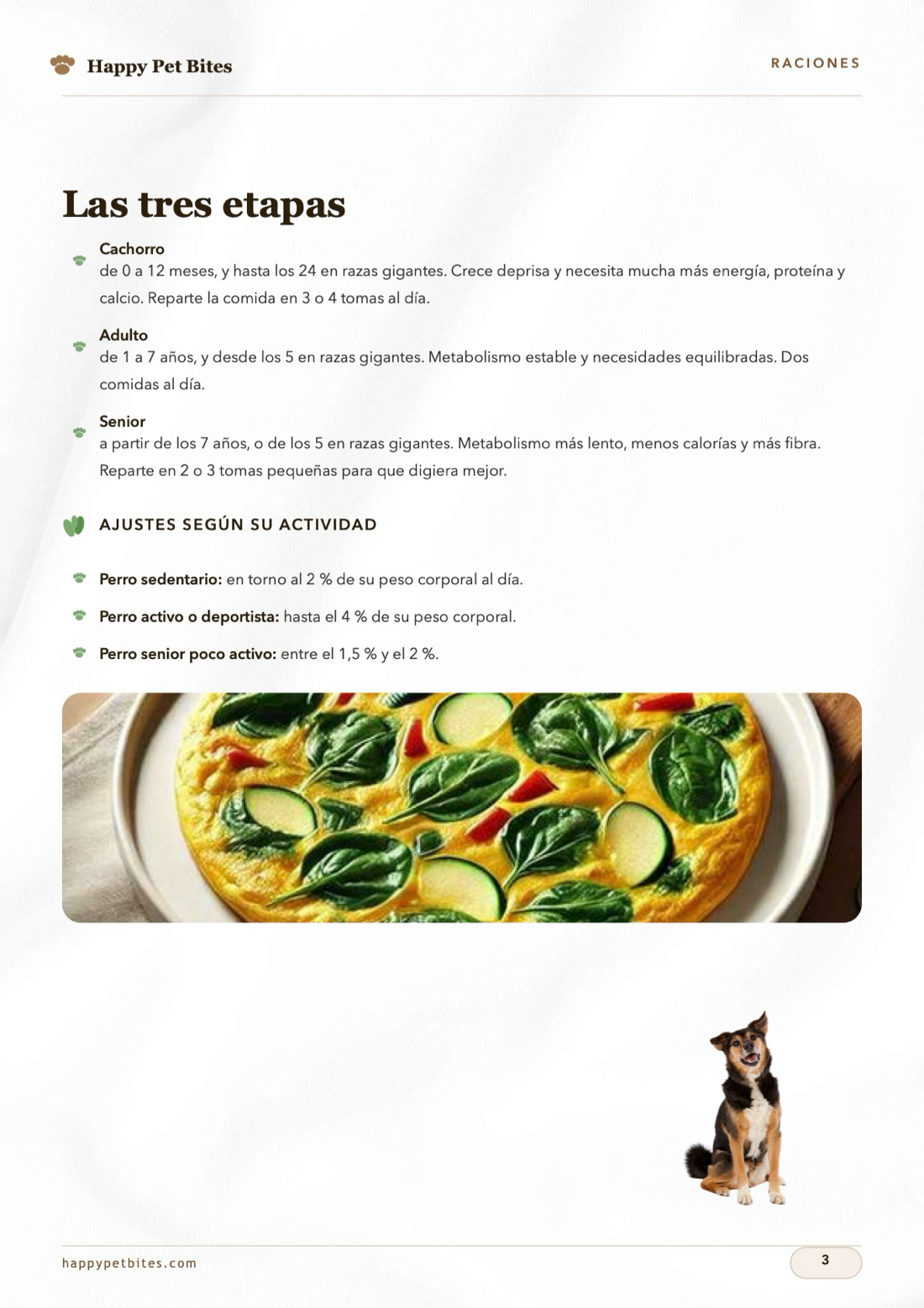 Las tres etapas y los ajustes por actividad