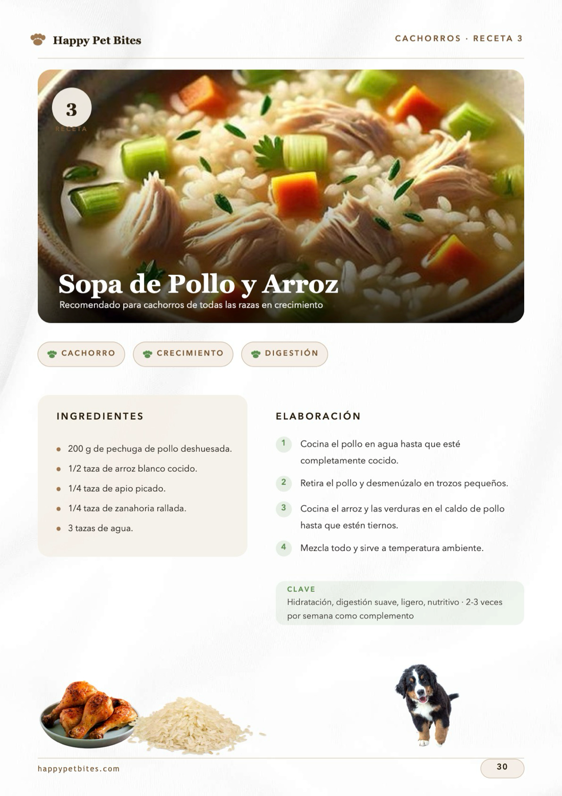 Página real del recetario: Sopa de Pollo y Arroz
